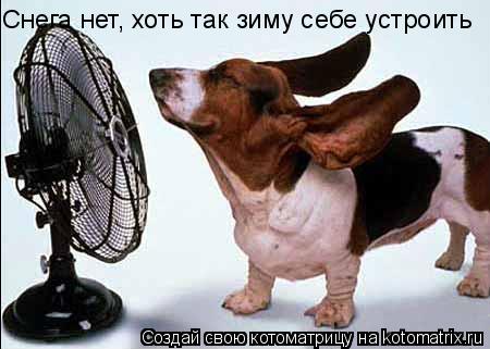 Снега нет, хоть так зиму себе устроить... Котоматрица: Снега нет, хоть так зиму себе устроить