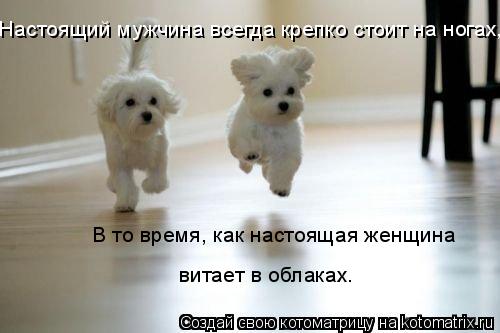 Настоящий мужчина всегда крепко стоит на ногах, В то время, как настоящая женщина витает в облаках.... Котоматрица: Настоящий мужчина всегда крепко стоит на ногах, В то время, как настоящая женщина витает в облаках.