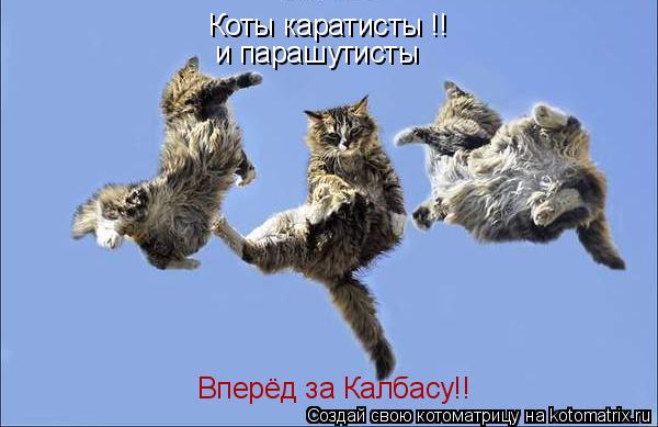 Коты каратисты !! и парашутисты Вперёд за Калбасу!!... Котоматрица: Коты каратисты !! и парашутисты Вперёд за Калбасу!!