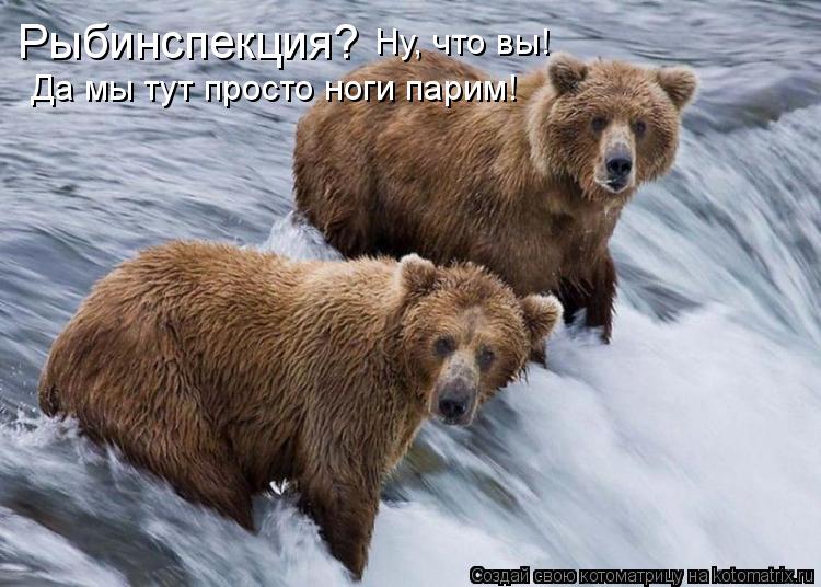 Рыбинспекция? Да мы тут просто ноги парим! Ну, что вы!... Котоматрица: Рыбинспекция? Да мы тут просто ноги парим! Ну, что вы!