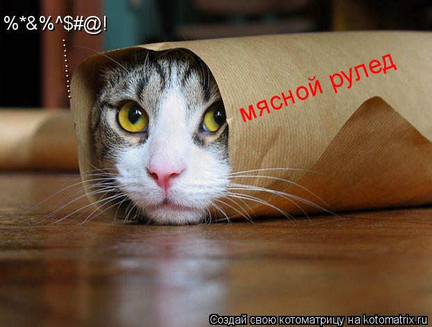 мясной рулед %*&%^$#@! ............... Котоматрица: мясной рулед %*&%^$#@! ............