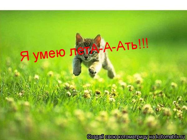 Я умею летА-А-Ать!!!... Котоматрица: Я умею летА-А-Ать!!!