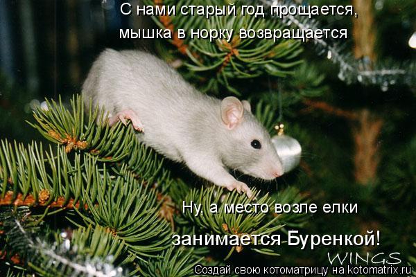С нами старый год прощается, мышка в норку возвращается Ну, а место возле елки занимается Буренкой!... Котоматрица: С нами старый год прощается, мышка в норку возвращается Ну, а место возле елки занимается Буренкой!