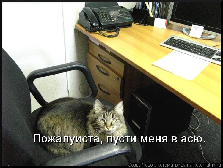 Пожалуиста, пусти меня в асю.... Котоматрица: Пожалуиста, пусти меня в асю.