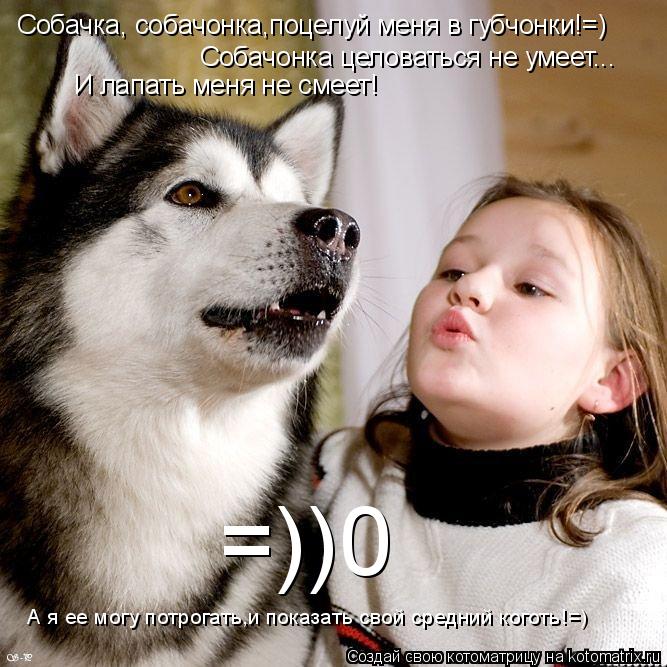 Собачка, собачонка,поцелуй меня в губчонки!=) Собачонка целоваться не умеет... И лапать меня не смеет... Котоматрица: Собачка, собачонка,поцелуй меня в губчонки!=) Собачонка целоваться не умеет... И лапать меня не смеет! А я ее могу потрогать,и показать свой ср