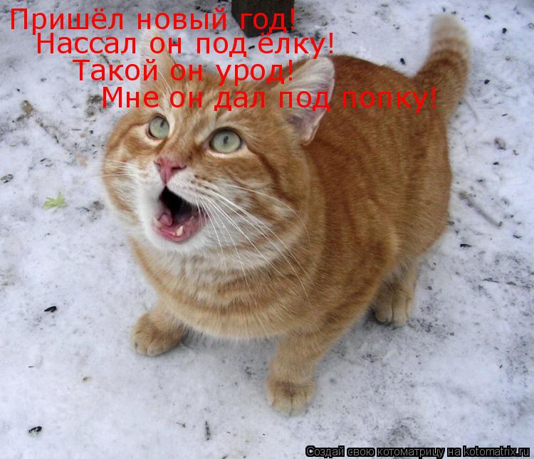 Пришёл новый год! Нассал он под ёлку! Такой он урод! Мне он дал под попку!... Котоматрица: Пришёл новый год! Нассал он под ёлку! Такой он урод! Мне он дал под попку!
