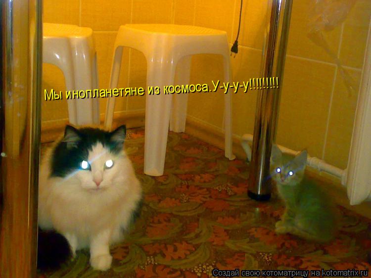 Мы инопланетяне из космоса.У-у-у-у!!!!!!!!!... Котоматрица: Мы инопланетяне из космоса.У-у-у-у!!!!!!!!!