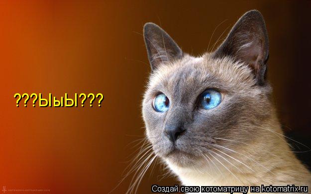 ???ЫыЫ???... Котоматрица: ???ЫыЫ???