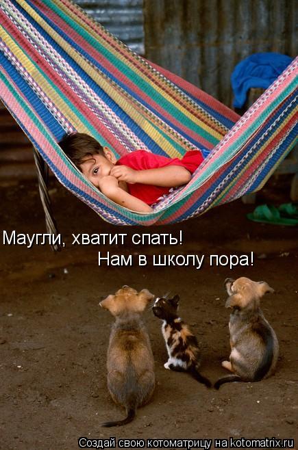 Маугли, хватит спать! Нам в школу пора!... Котоматрица: Маугли, хватит спать! Нам в школу пора!