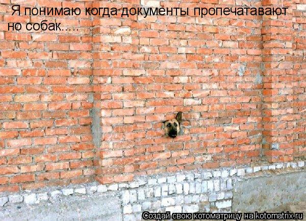 Я понимаю когда документы пропечатавают но собак........ Котоматрица: Я понимаю когда документы пропечатавают но собак.....