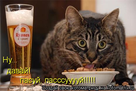 Ну... давай! пасуй, пасссууууй!!!!!... Котоматрица: Ну... давай! пасуй, пасссууууй!!!!!