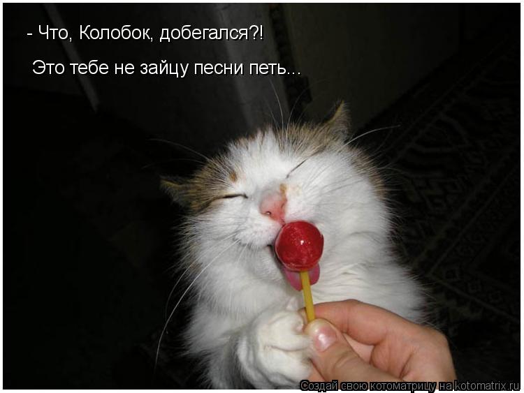 - Что, Колобок, добегался?! Это тебе не зайцу песни петь...... Котоматрица: - Что, Колобок, добегался?! Это тебе не зайцу песни петь...