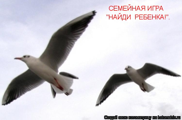 СЕМЕЙНАЯ ИГРА "НАЙДИ РЕБЕНКА!".... Котоматрица: СЕМЕЙНАЯ ИГРА "НАЙДИ РЕБЕНКА!".