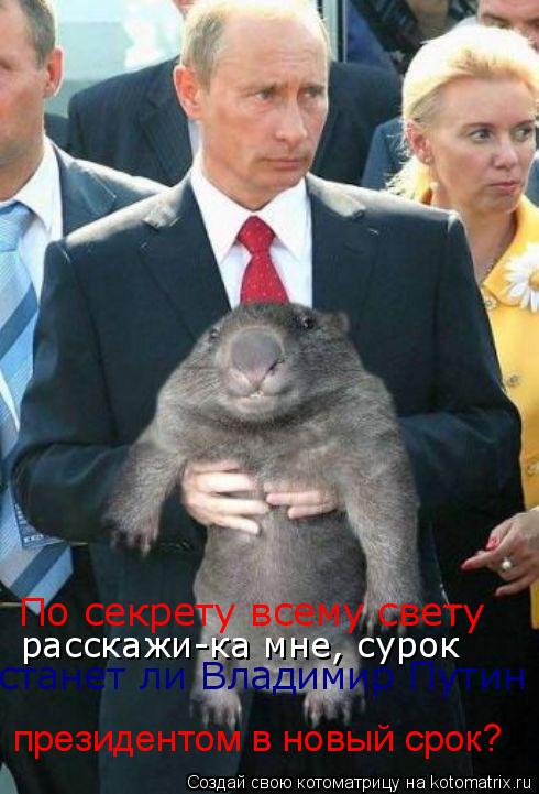 По секрету всему свету расскажи-ка мне, сурок станет ли Владимир Путин президентом в новый срок?... Котоматрица: По секрету всему свету расскажи-ка мне, сурок станет ли Владимир Путин президентом в новый срок?