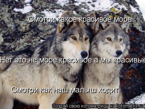 Смотри какое красивое море Нет это не море красивое а мы красивые Смотри как наш малыш ходит... Котоматрица: Смотри какое красивое море Нет это не море красивое а мы красивые Смотри как наш малыш ходит