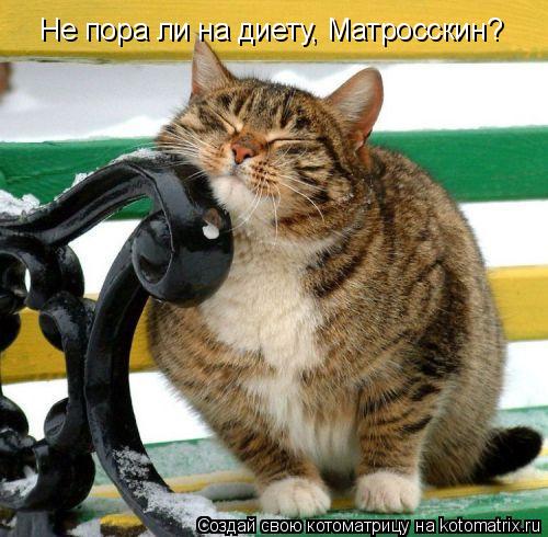 Не пора ли на диету, Матросскин?... Котоматрица: Не пора ли на диету, Матросскин?