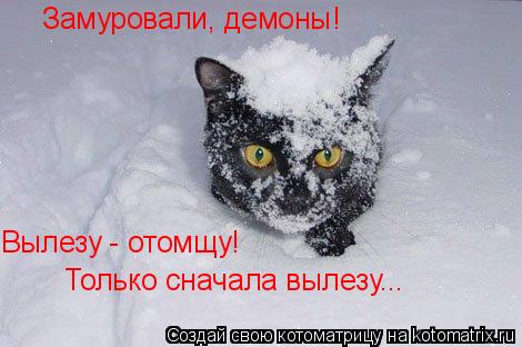Замуровали, демоны! Вылезу - отомщу! Только сначала вылезу...... Котоматрица: Замуровали, демоны! Вылезу - отомщу! Только сначала вылезу...