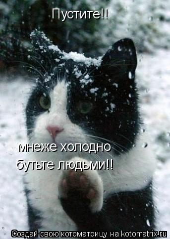 Пустите!! мнеже холодно бутьте людьми!!... Котоматрица: Пустите!! мнеже холодно бутьте людьми!!