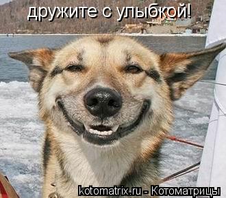 дружите с улыбкой!... Котоматрица: дружите с улыбкой!
