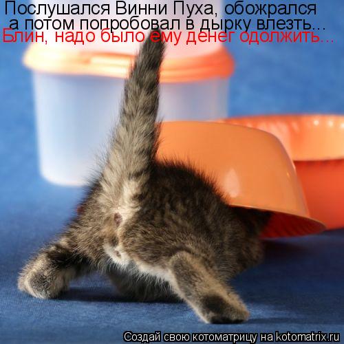 Послушался Винни Пуха, обожрался а потом попробовал в дырку влезть... а потом попробовал в дырку влез... Котоматрица: Послушался Винни Пуха, обожрался а потом попробовал в дырку влезть... а потом попробовал в дырку влезть... Блин, надо было ему денег одолжить..