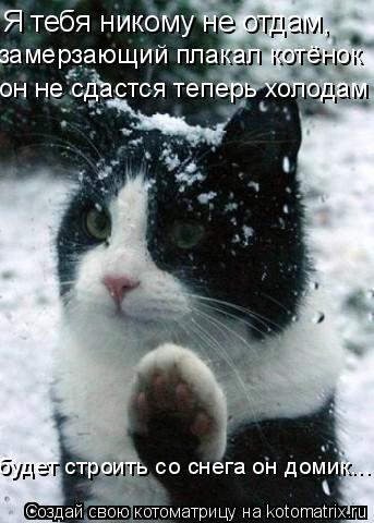 Я тебя никому не отдам, замерзающий плакал котёнок он не сдастся теперь холодам будет строить со снег... Котоматрица: Я тебя никому не отдам, замерзающий плакал котёнок он не сдастся теперь холодам будет строить со снега он домик...