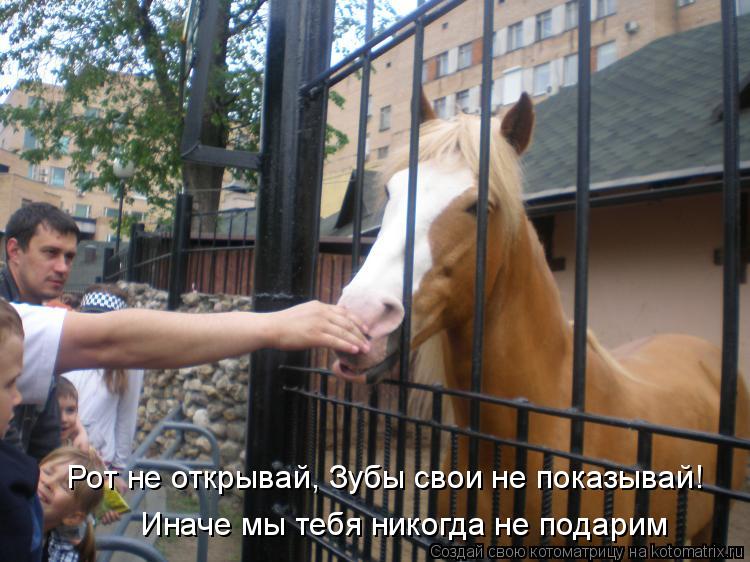 Иначе мы тебя никогда не подарим Рот не открывай, Зубы свои не показывай!... Котоматрица: Иначе мы тебя никогда не подарим Рот не открывай, Зубы свои не показывай!