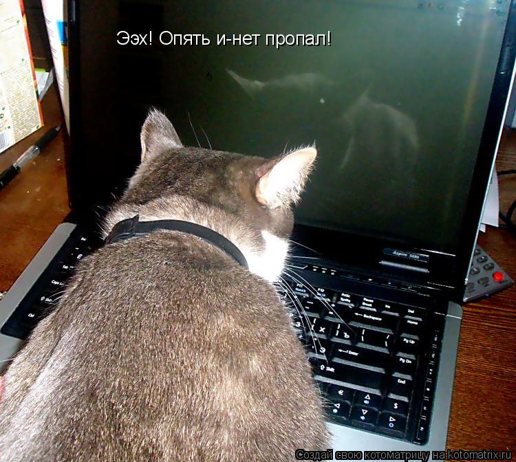 Ээх! Опять и-нет пропал!... Котоматрица: Ээх! Опять и-нет пропал!