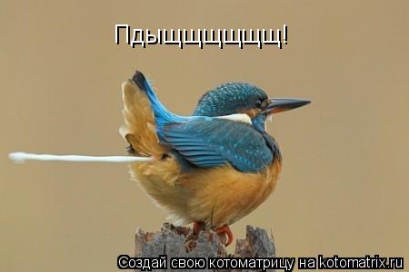 Пдыщщщщщщ!... Котоматрица: Пдыщщщщщщ!
