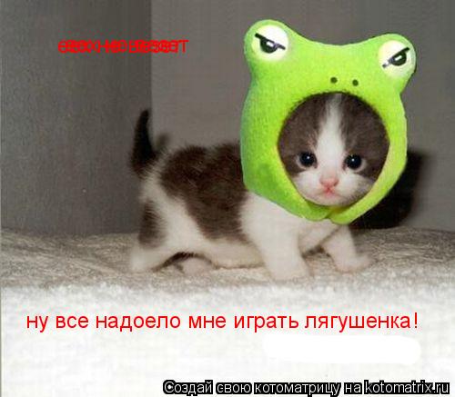 ну все надоело мне играть лягушенка! еех не везет еех не везет еех не везет... Котоматрица: ну все надоело мне играть лягушенка! еех не везет еех не везет еех не везет