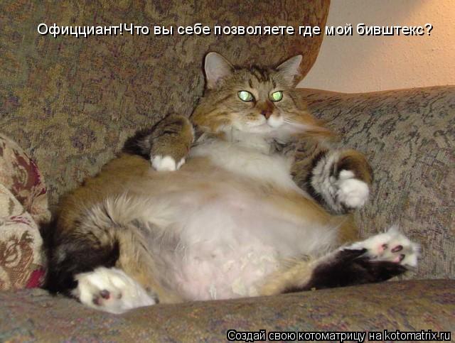 Офицциант!Что вы себе позволяете где мой бивштекс?... Котоматрица: Офицциант!Что вы себе позволяете где мой бивштекс?