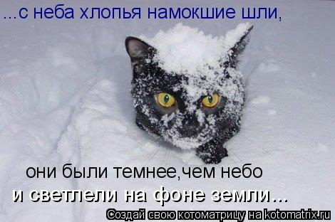 ...с неба хлопья намокшие шли, они были темнее,чем небо и светлели на фоне земли...... Котоматрица: ...с неба хлопья намокшие шли, они были темнее,чем небо и светлели на фоне земли...