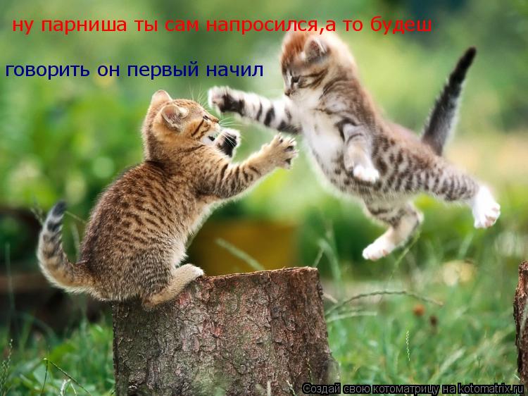 ну парниша ты сам напросился,а то будеш говорить он первый начил... Котоматрица: ну парниша ты сам напросился,а то будеш говорить он первый начил