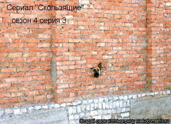 Сериал "Скользящие" сезон 4 серия 3... Котоматрица: Сериал "Скользящие" сезон 4 серия 3