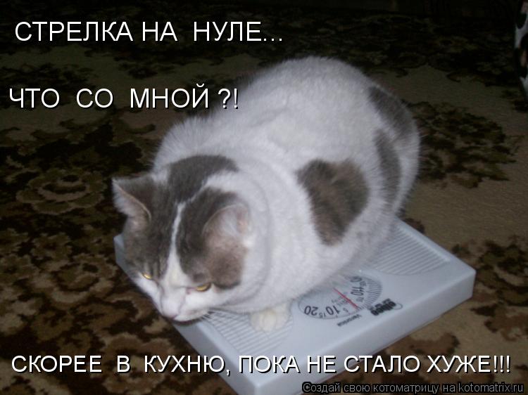 СТРЕЛКА НА НУЛЕ... ЧТО СО МНОЙ ?! СКОРЕЕ В КУХНЮ, ПОКА НЕ СТАЛО ХУЖЕ!!!... Котоматрица: СТРЕЛКА НА НУЛЕ... ЧТО СО МНОЙ ?! СКОРЕЕ В КУХНЮ, ПОКА НЕ СТАЛО ХУЖЕ!!!