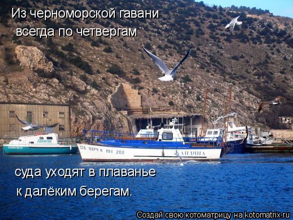 Из черноморской гавани всегда по четвергам суда уходят в плаванье к далёким берегам.... Котоматрица: Из черноморской гавани всегда по четвергам суда уходят в плаванье к далёким берегам.