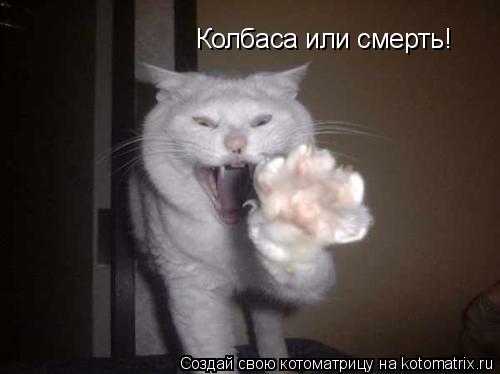 Колбаса или смерть!... Котоматрица: Колбаса или смерть!