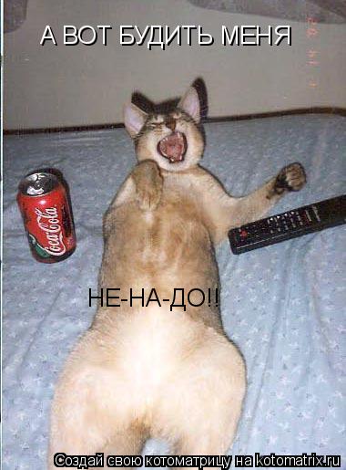 А ВОТ БУДИТЬ МЕНЯ А ВОТ БУДИТЬ МЕНЯ НЕ-НА-ДО!!... Котоматрица: А ВОТ БУДИТЬ МЕНЯ А ВОТ БУДИТЬ МЕНЯ НЕ-НА-ДО!!