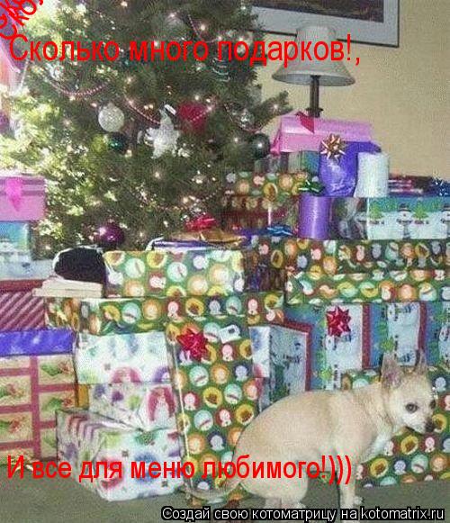 Сколько много подарков!,,,,,, Сколько много подарков!, Сколько много подарков!, И все для меню любимо... Котоматрица: Сколько много подарков!,,,,,, Сколько много подарков!, Сколько много подарков!, И все для меню любимого!)))