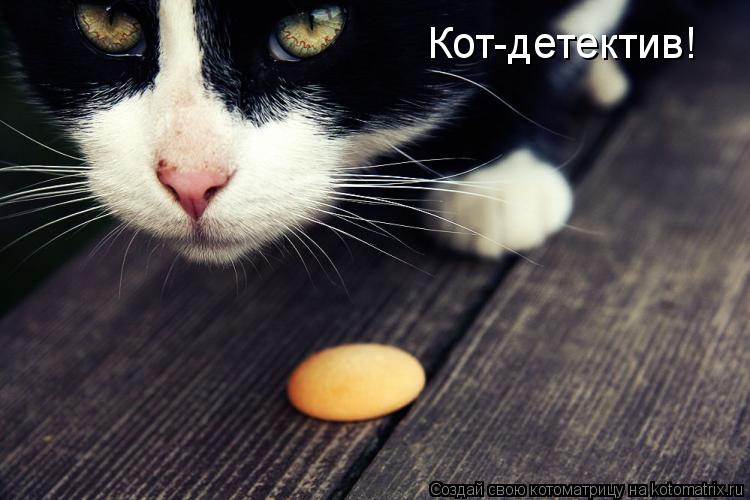 Кот-детектив!... Котоматрица: Кот-детектив!