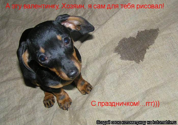 А эту валентинку, Хозяин, я сам для тебя рисовал! С праздничком!...ггг)))... Котоматрица: А эту валентинку, Хозяин, я сам для тебя рисовал! С праздничком!...ггг)))