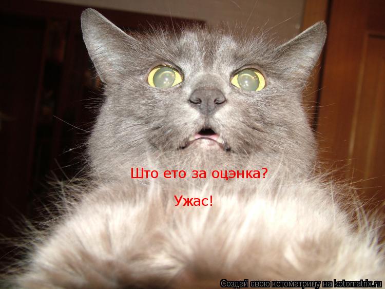 Што ето за оцэнка? Ужас!... Котоматрица: Што ето за оцэнка? Ужас!