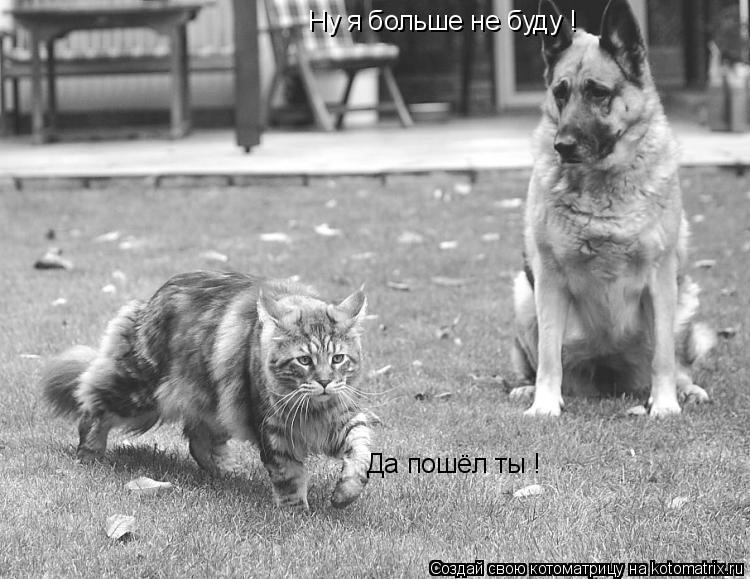 Ну я больше не буду ! Да пошёл ты !... Котоматрица: Ну я больше не буду ! Да пошёл ты !