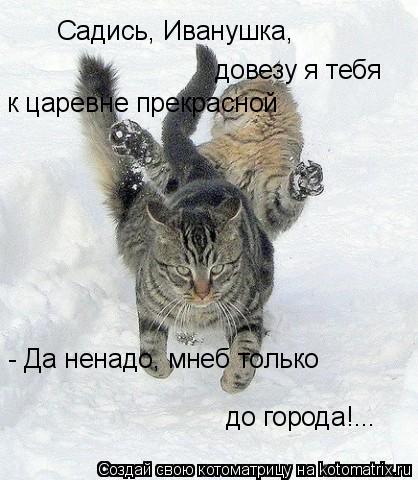 Садись, Иванушка, довезу я тебя к царевне прекрасной - Да ненадо, мнеб только до города!...... Котоматрица: Садись, Иванушка, довезу я тебя к царевне прекрасной - Да ненадо, мнеб только до города!...