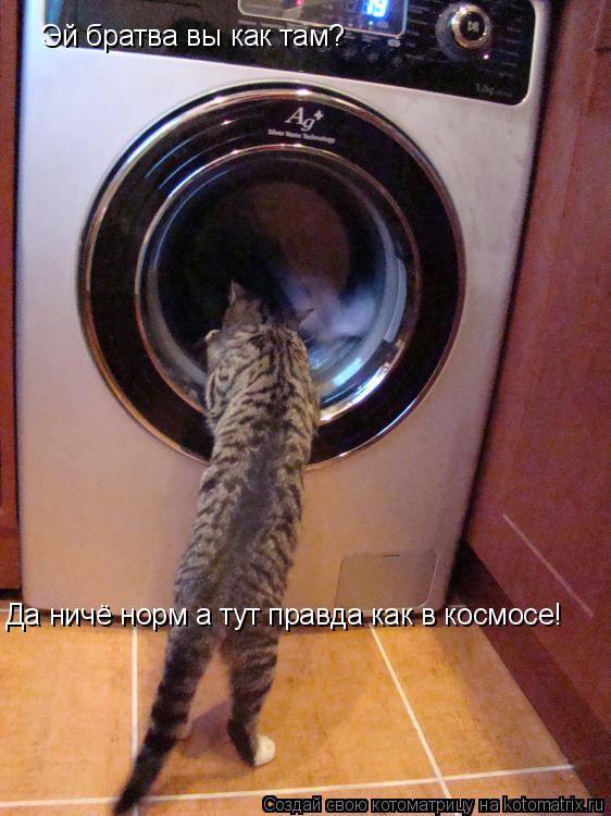 Эй братва вы как там? Да ничё норм а тут правда как в космосе!... Котоматрица: Эй братва вы как там? Да ничё норм а тут правда как в космосе!