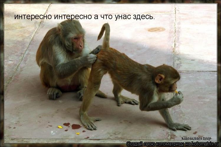 интересно интересно а что унас здесь. интересно интересно а что унас здесь.... Котоматрица: интересно интересно а что унас здесь. интересно интересно а что унас здесь.