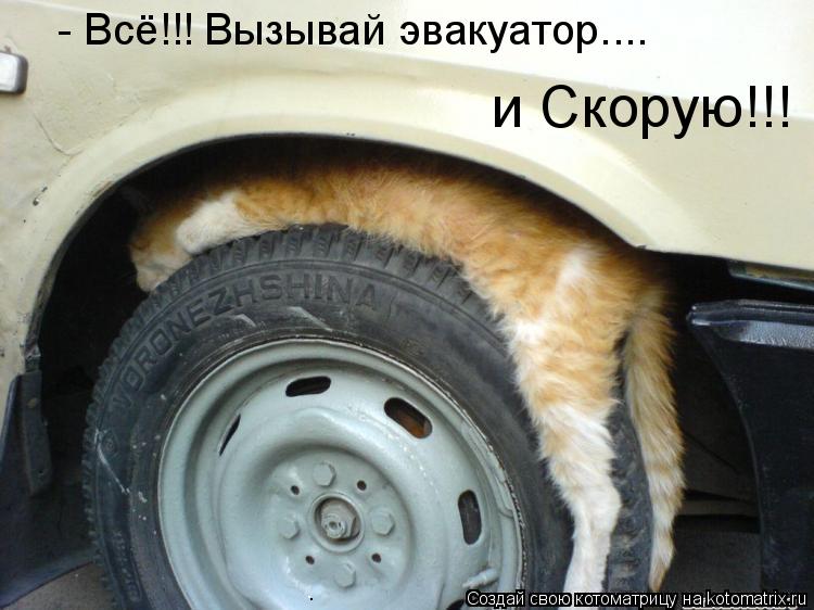 - Всё!!! Вызывай эвакуатор.... и Скорую!!!... Котоматрица: - Всё!!! Вызывай эвакуатор.... и Скорую!!!
