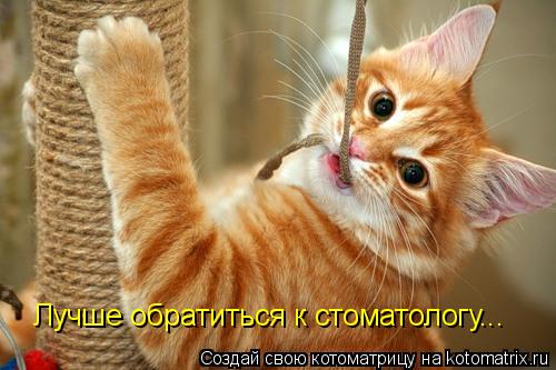 Лучше обратиться к стоматологу...... Котоматрица: Лучше обратиться к стоматологу...