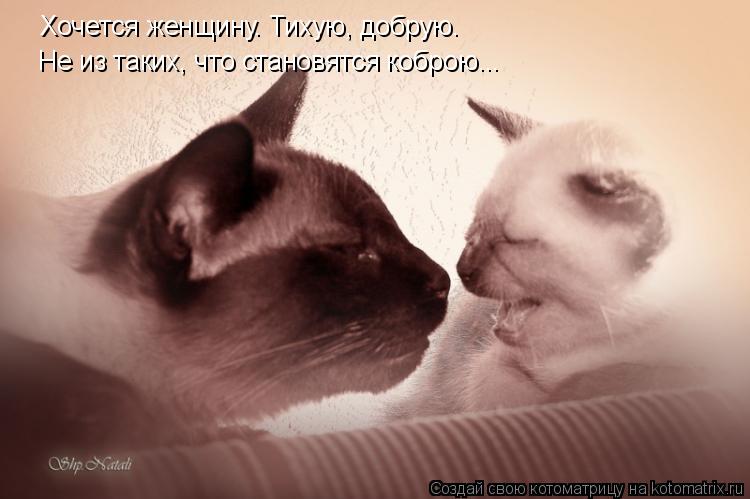 Хочется женщину. Тихую, добрую. Не из таких, что становятся коброю...... Котоматрица: Хочется женщину. Тихую, добрую. Не из таких, что становятся коброю...