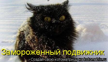 Замороженный подвижник... Котоматрица: Замороженный подвижник