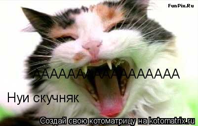 Нуи скучняк ААААААААААААААААА... Котоматрица: Нуи скучняк ААААААААААААААААА